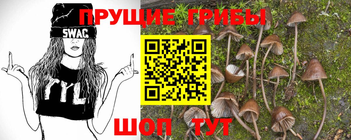 магазин    Галлюциногенные грибы Psilocybe  Галлюциногенные грибы MAGIC MUSHROOMS  Вход с VPN  Обь 